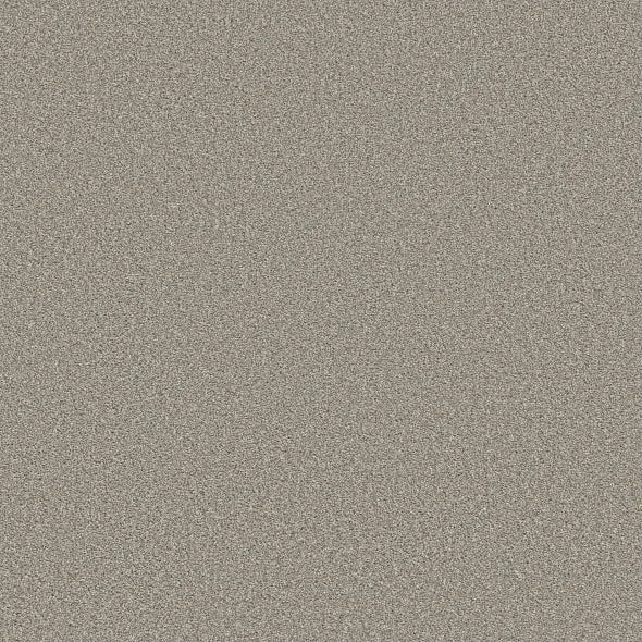 Shaw Floors - Carpet - Simply The Best - TRUSOLUTIONS III - Stone Path