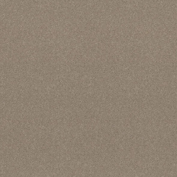 Shaw Floors - Carpet - Simply The Best - Attainable - Pebble Path