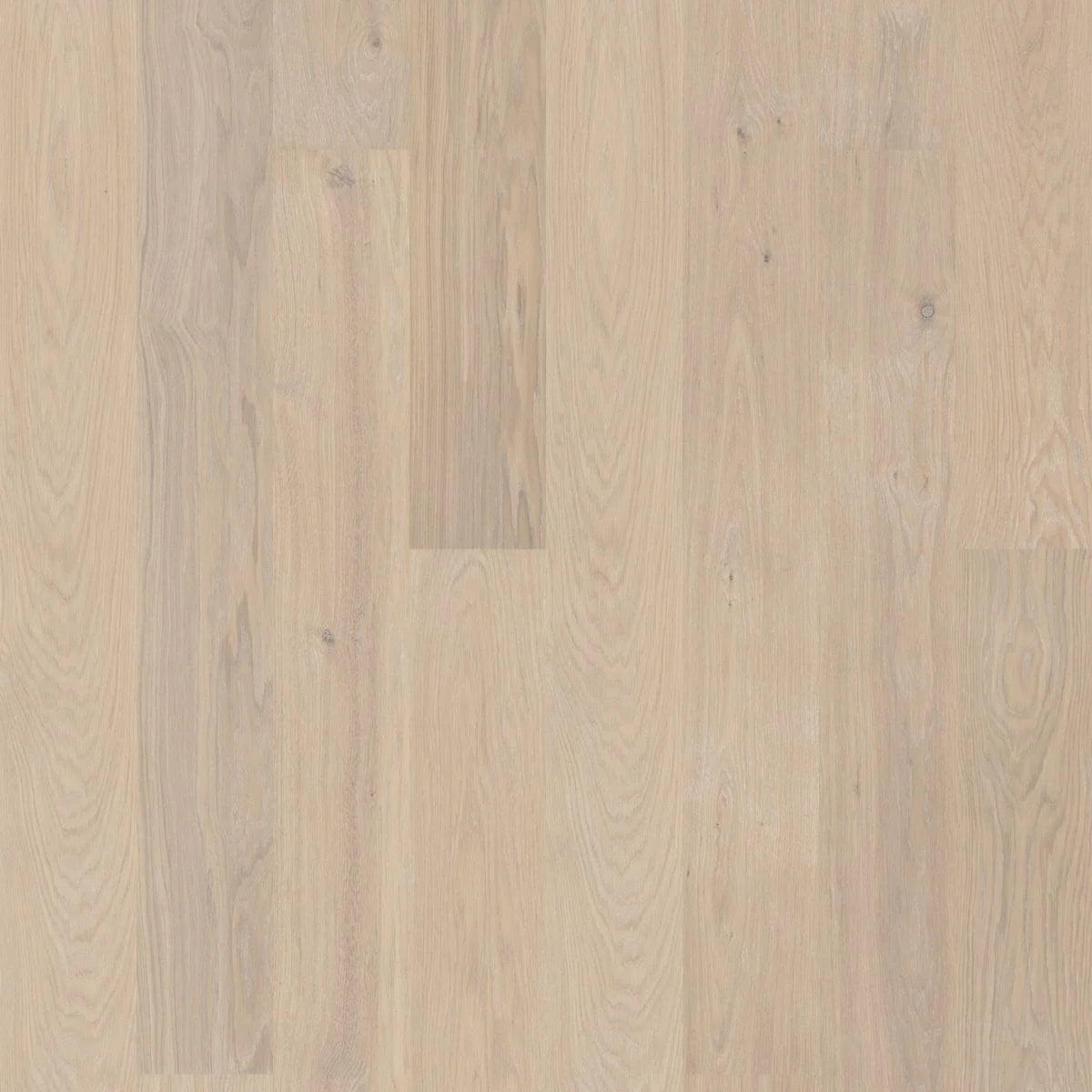 BJELIN - WOODURA - NATURE COLLECTION - XL FORMAT - OAK - POWDER WHITE