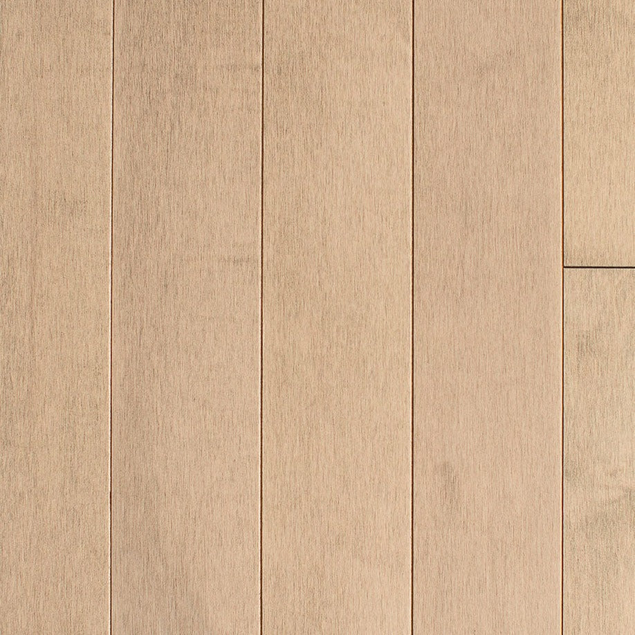 Wickham - Domestic Collection - Canadian Plus Grade - 3 1/4" - Maple - Pearl