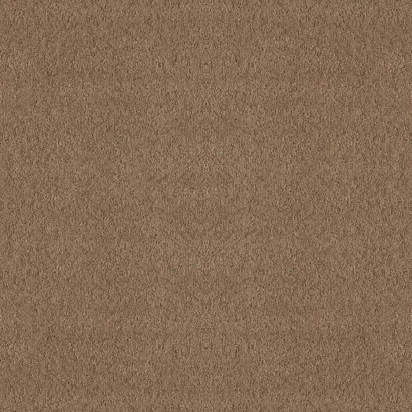 Shaw Floors - Carpet - Foundations Collection - Alluring Canvas - Raw Wood