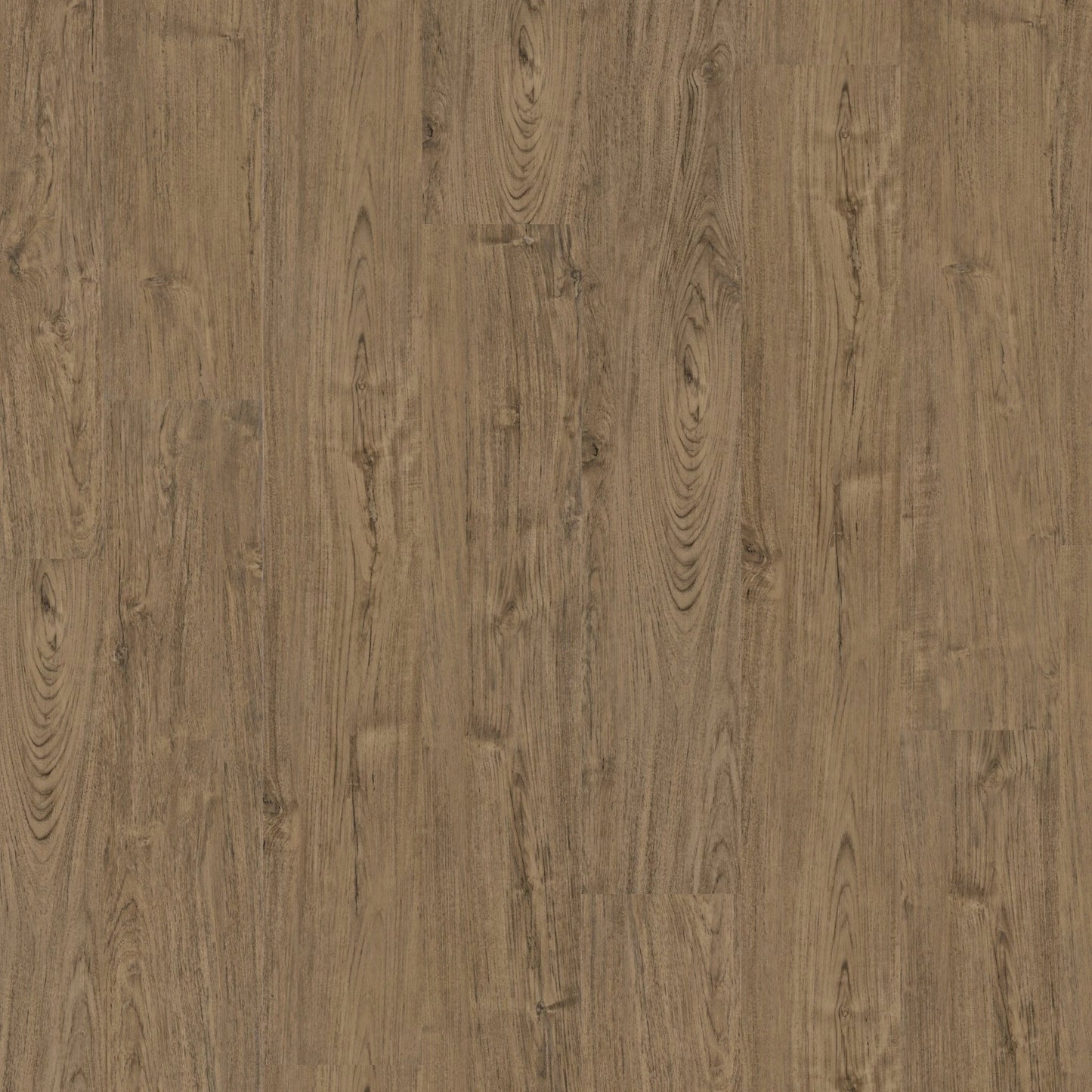 Goodfellow - Rocky Mountain Collection - Rustico