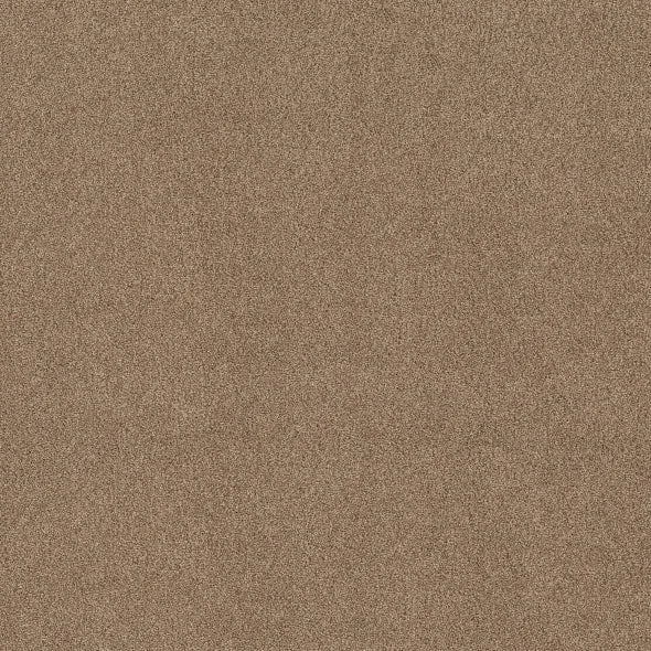 Shaw Floors - Carpet - COMFORTING II - Studio