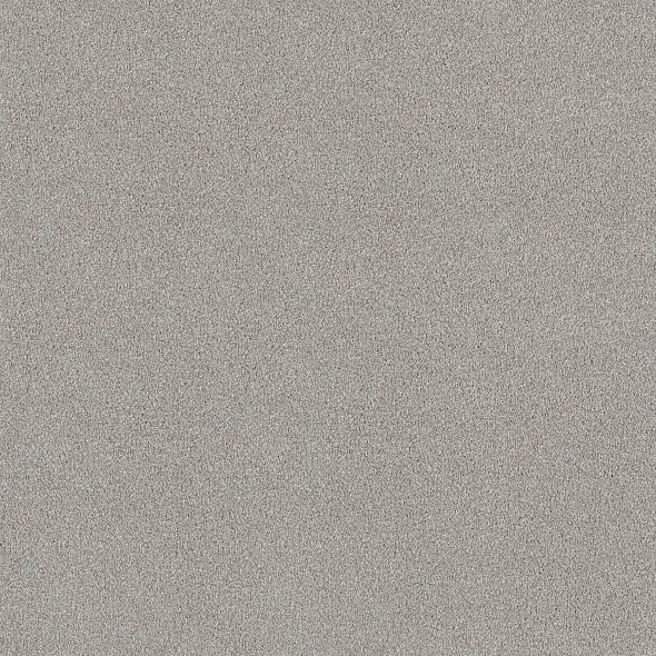 Shaw Floors - Carpet - COMFORTING II - Shimmer