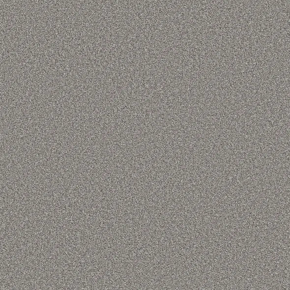 Shaw Floors - Carpet - Simply The Best - TRUSOLUTIONS III - Storm Cloud