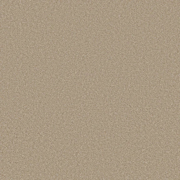 Shaw Floors - Carpet - Simply The Best - TRUSOLUTIONS III - Sheer Natural