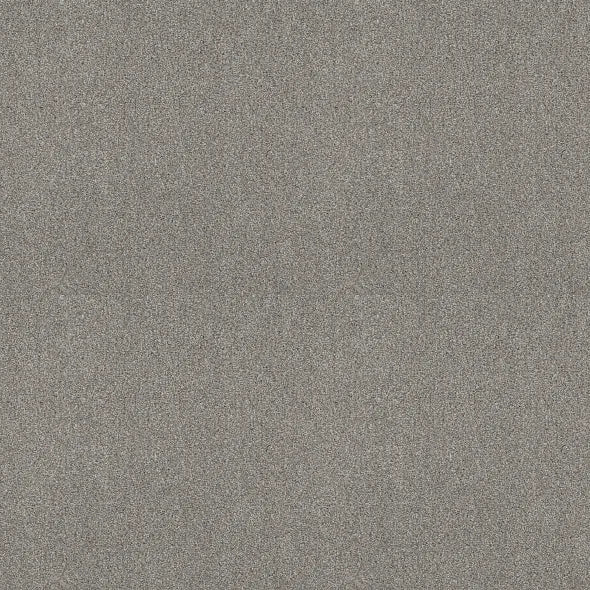Shaw Floors - Carpet - COMFORTING II - Stepping Stone