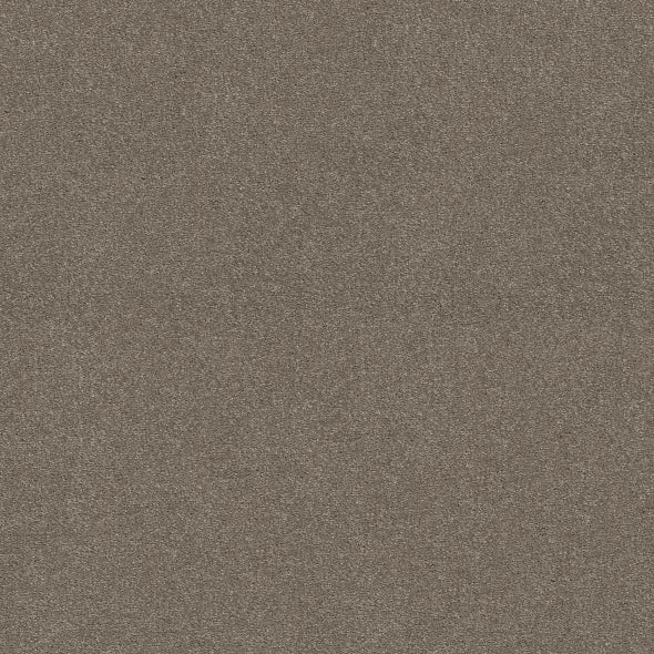 Shaw Floors - Carpet - Simply The Best - Attainable - Smooth Taupe