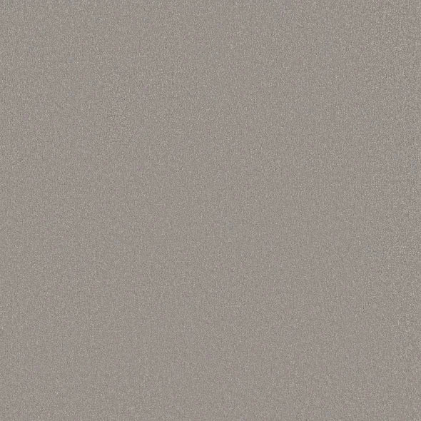 Shaw Floors - Carpet - Classics Collection - Awaken Spirit II - 12' - Subtle Touch