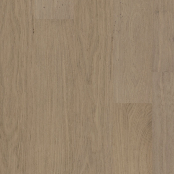 BIYORK - Nouveau 8 Collection - Salted Biscotti