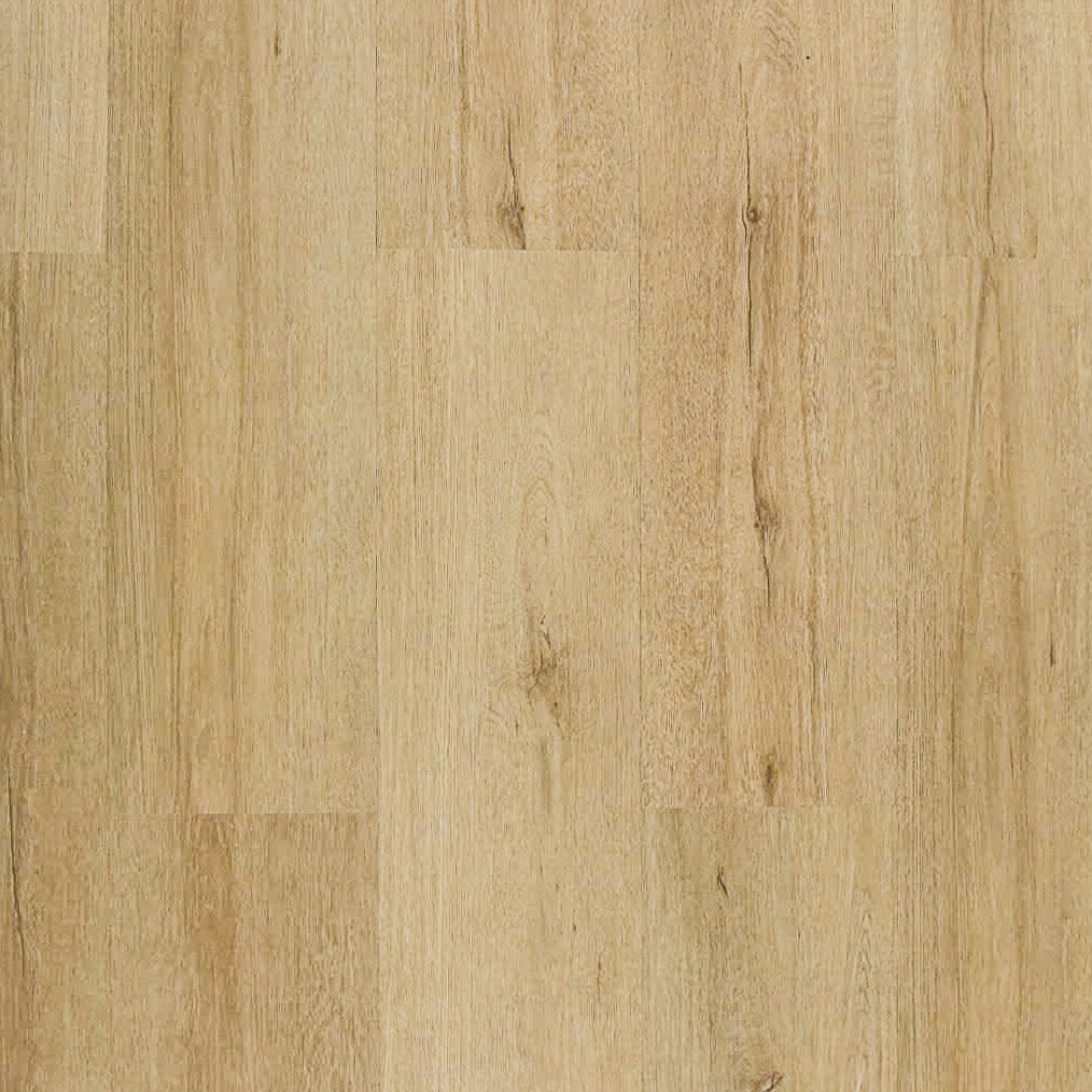 TURION - Aventis Collection - Satchi