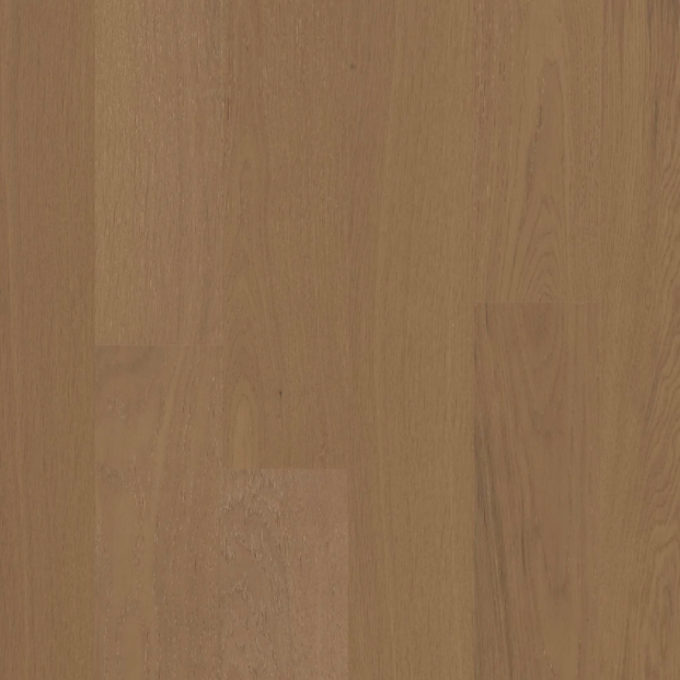 BIYORK - Nouveau 6 Collection - Skagen