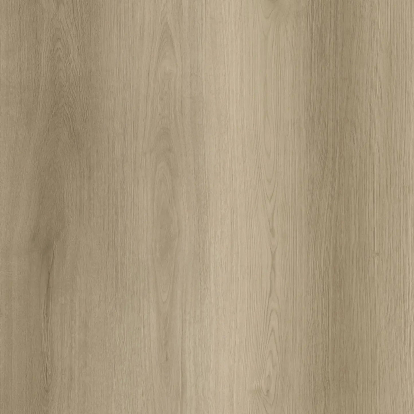 Goodfellow - Arctik Collection - Stavern