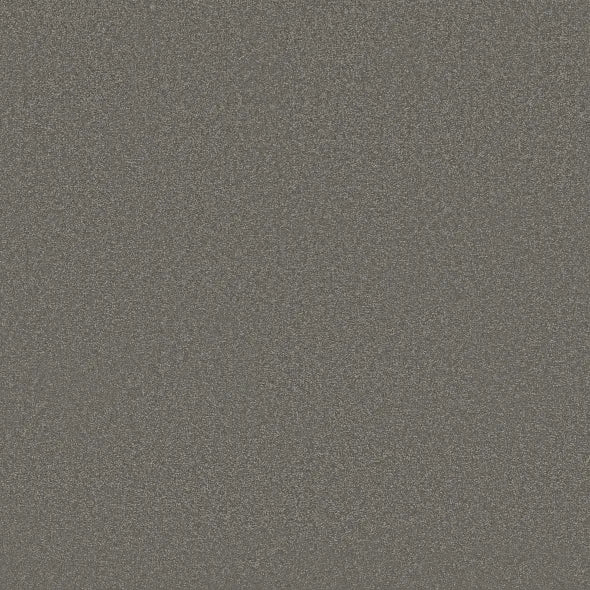 Shaw Floors - Carpet - Classics Collection - Awaken Spirit I 12' - Taupetone