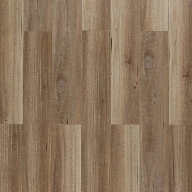 Toucan - SPC 400 Series - TF SPC 409