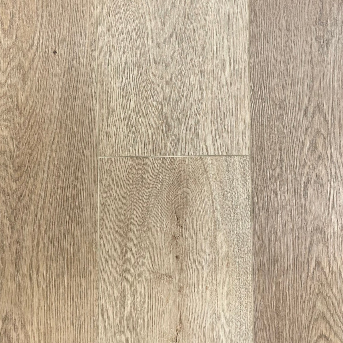 Toucan - TFSPC - 509-F