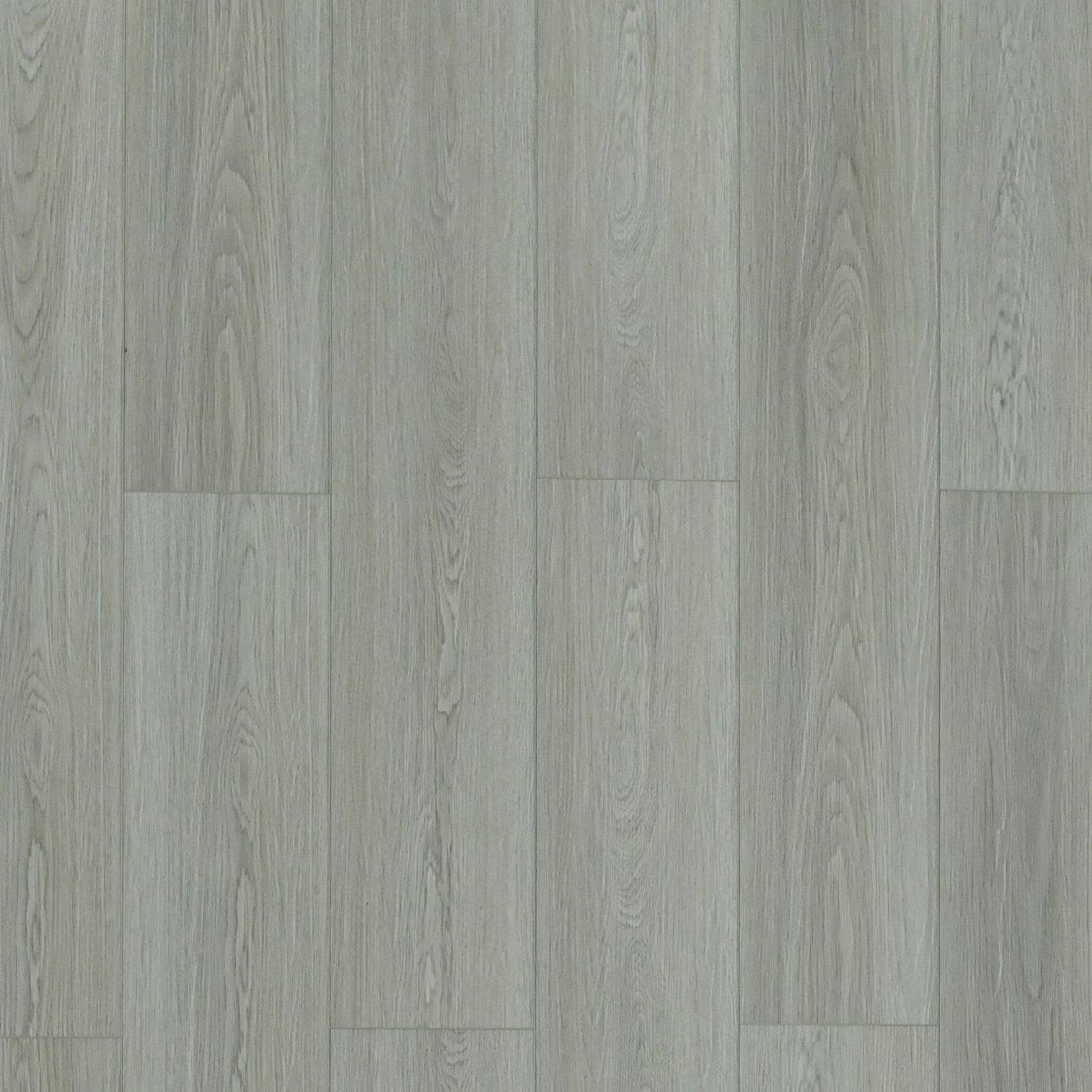 Toucan - TFSPC - 606-F - Venice