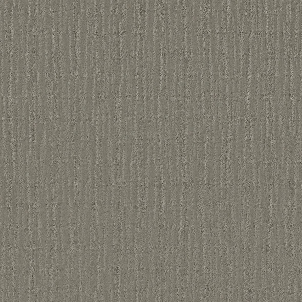 Shaw Floors - Carpet - Simply The Best Collection - Bandon Dunes - Titanium