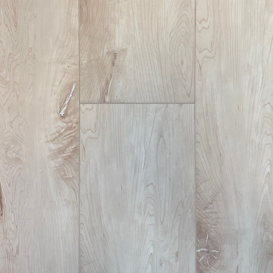 Simba - Galaxy Collection - Taurus