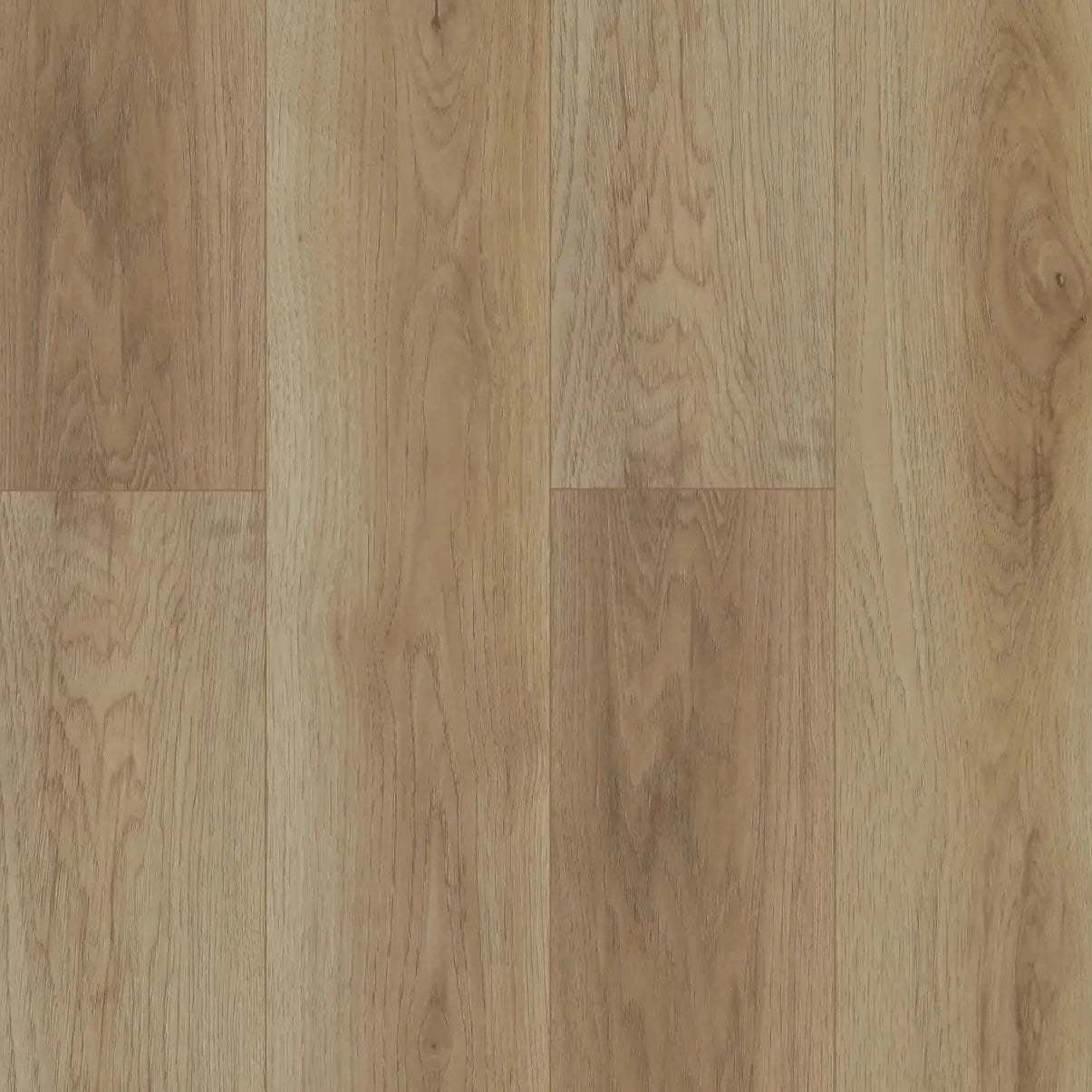 GoodFellow - Oceanic Collection - Tonga