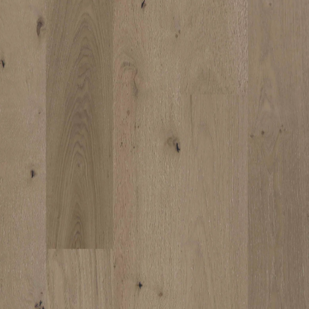 BIYORK - Nouveau 6 Collection - Valencia