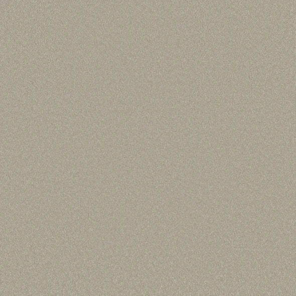 Shaw Floors - Carpet - Classics Collection - Awaken Spirit II - 12' - Whiskers