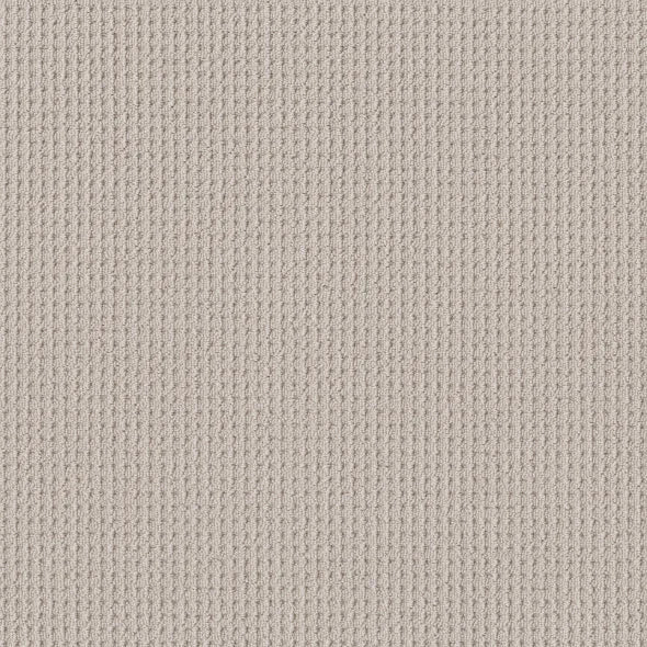 Shaw Floors - Carpet - Foundations Collection - Faint Intent - Winters Dawn