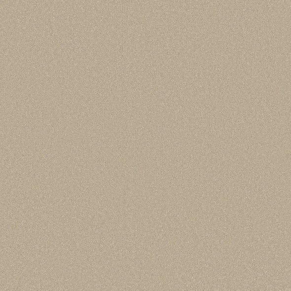 Shaw Floors - Carpet - Classics Collection - Awaken Spirit I 12' - Windfresh