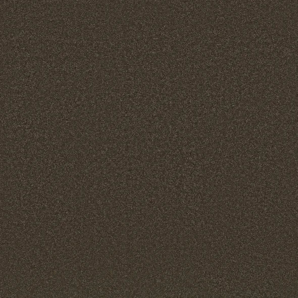 Shaw Floors - Carpet - Classics Collection - Awaken Spirit I 12' - Wood Grain