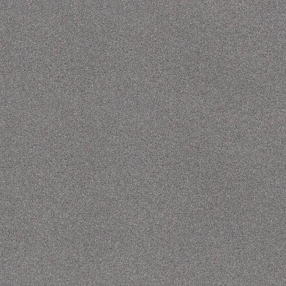 Shaw Floors - Carpet - COMFORTING II - Wet Rock