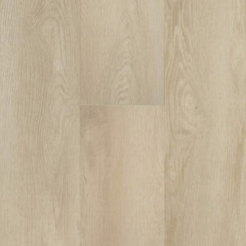 TORLYS - MARQUEE VINYL - Stadium Collection - Williams