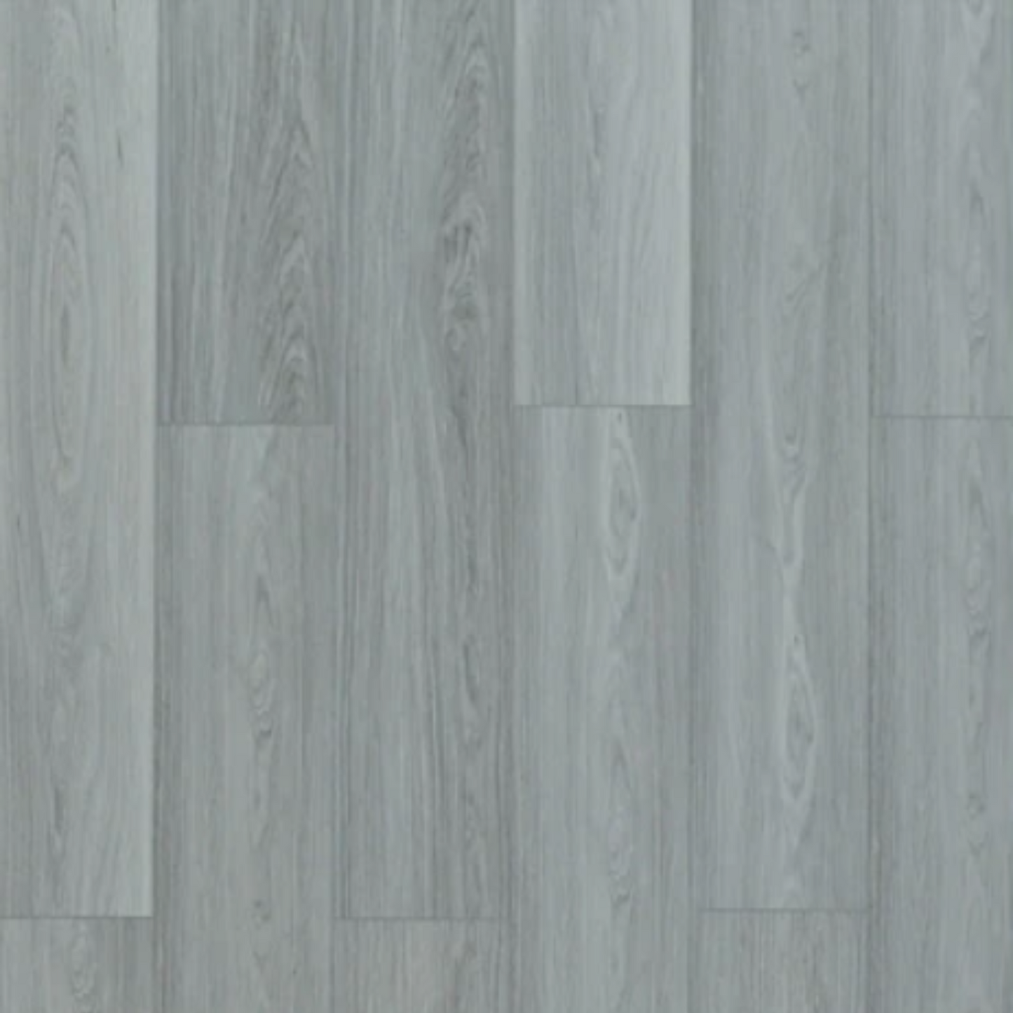 Toucan - TFSPC - 605-F - Amsterdam