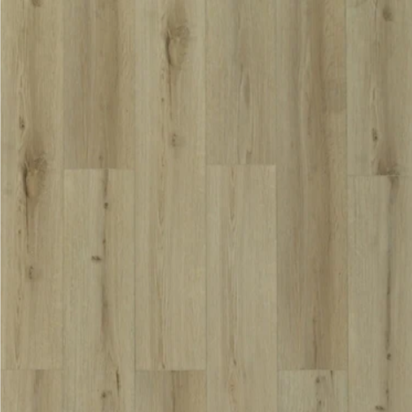 Toucan - TFSPC - 610-F - Athens