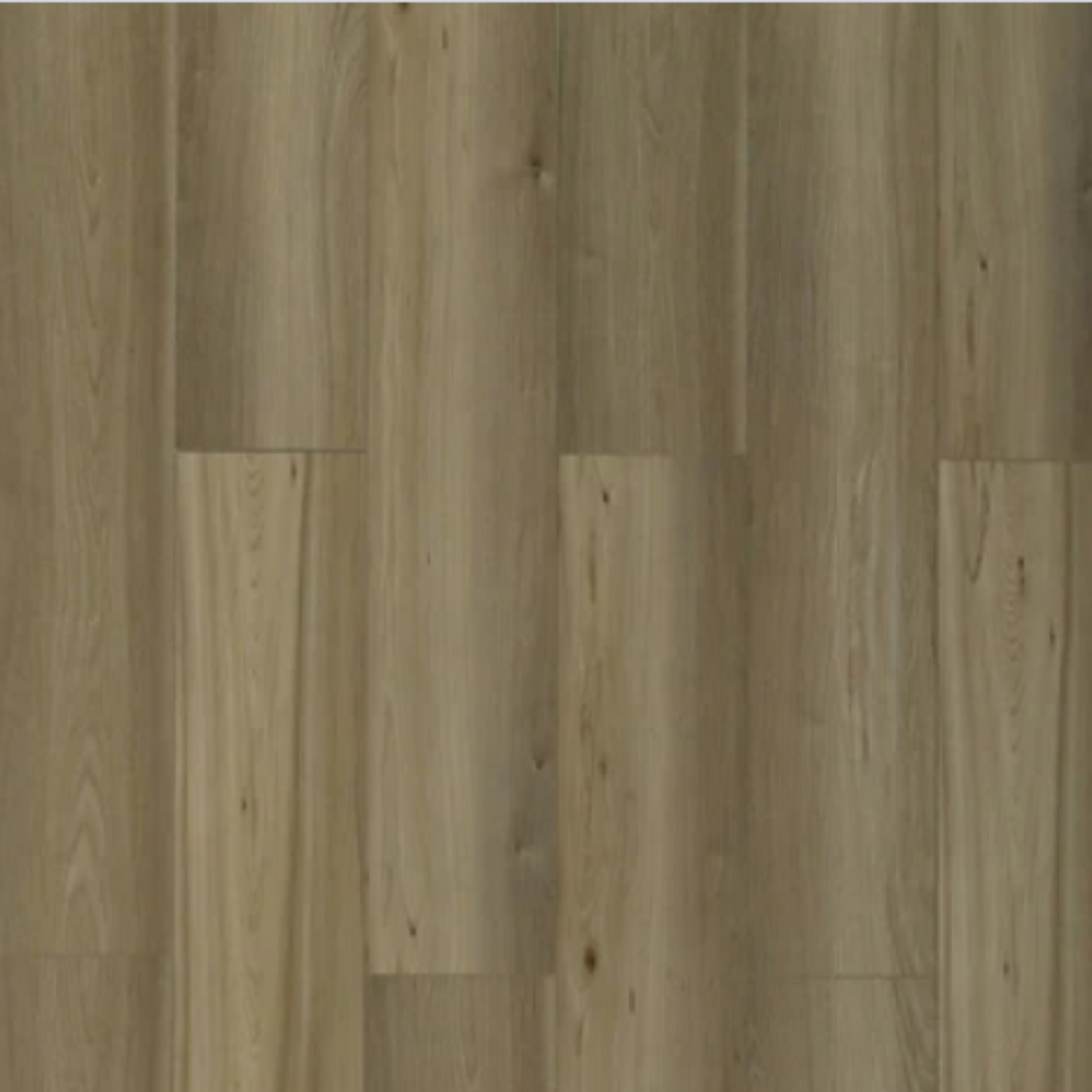 Toucan - TFL624 - Autumn Glow