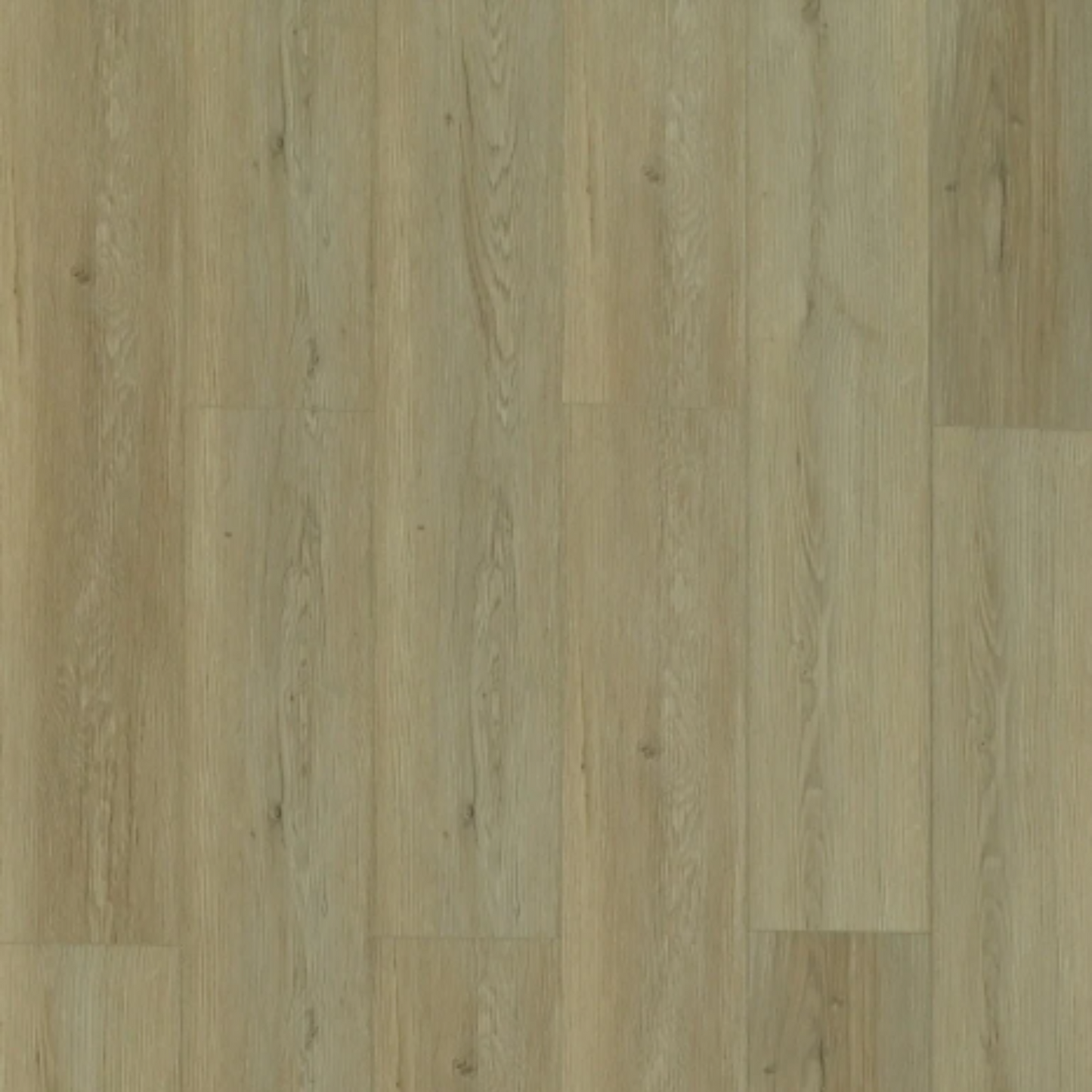 Toucan - TFSPC - 609-F - Madrid