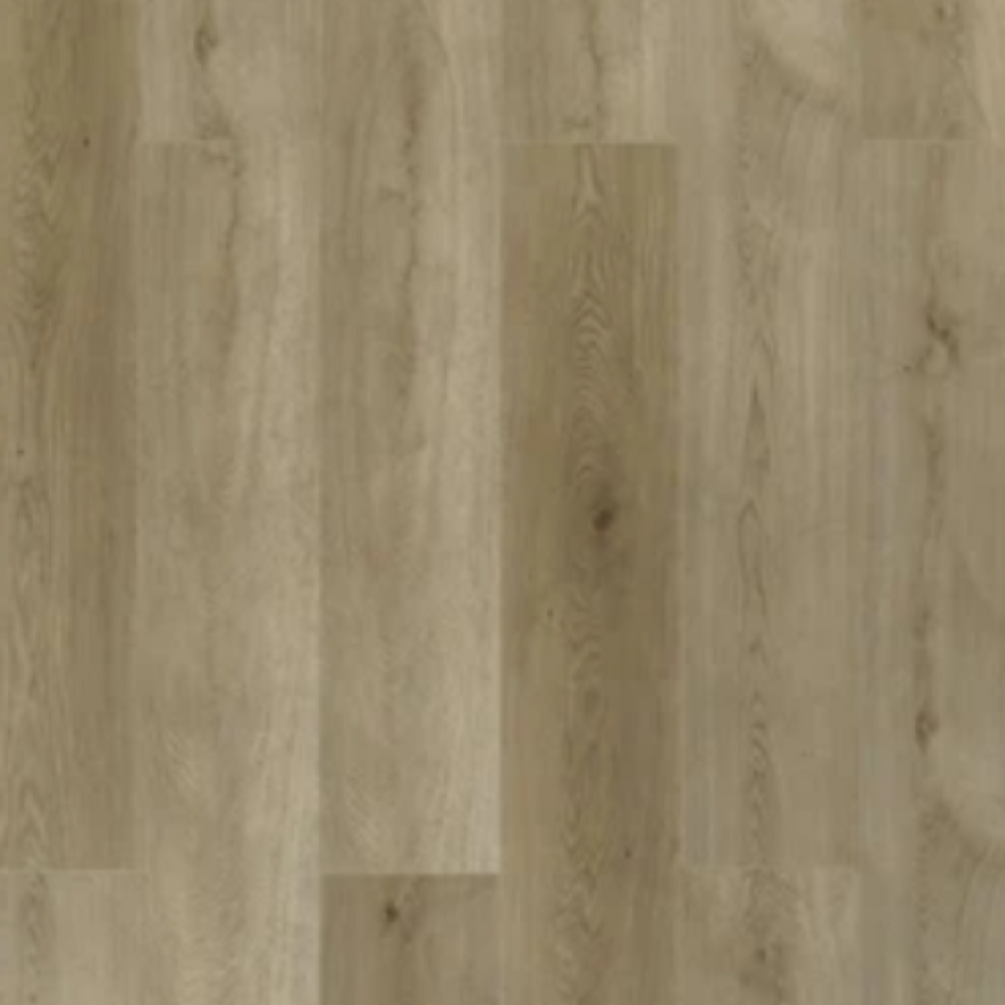 Toucan - TFL626 - Prairie Wheat