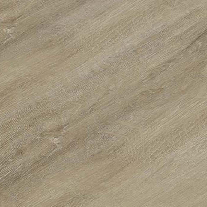 The Windsor Collection - Royal