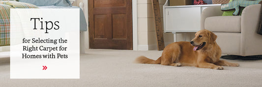 4 Tips for Selecting Pet-Proof Carpet