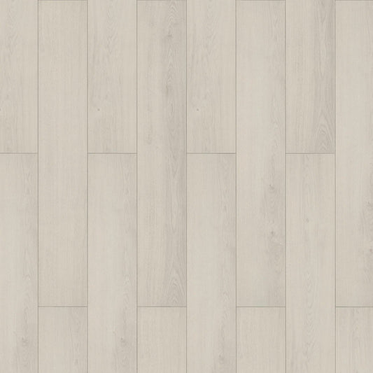 InHaus - Lamdura - Visions Collection - Darwin