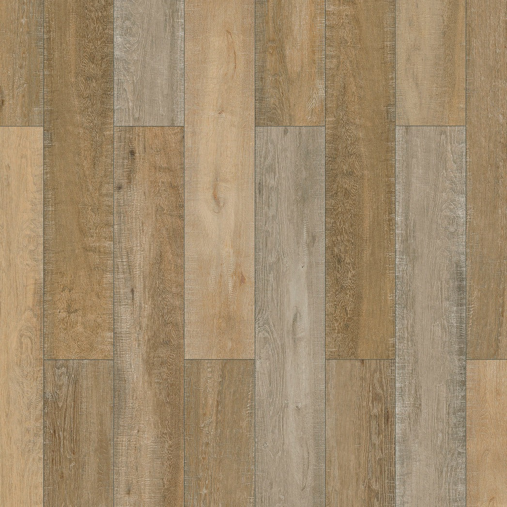 InHaus - Lamdura - Inspirations Collection - Coldspring