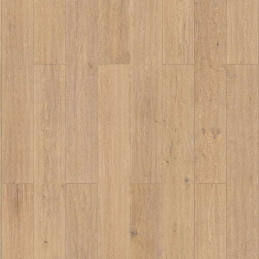 InHaus - Elandura Collection - Sutter