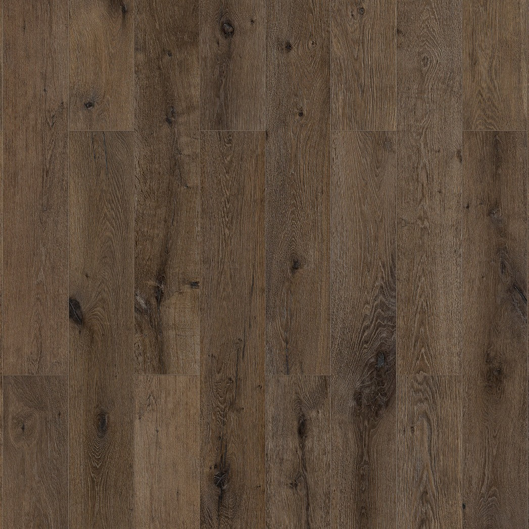 InHaus - Elandura Collection - Terra