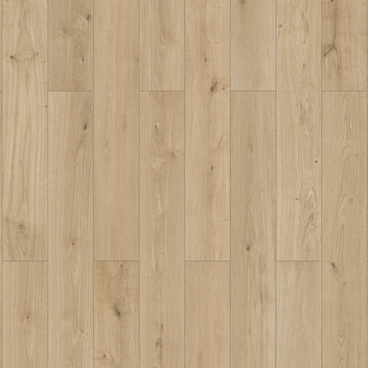 InHaus - Elandura Collection - Urban