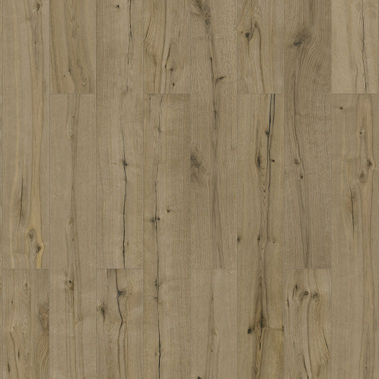 InHaus - Elandura Collection - Woodwind