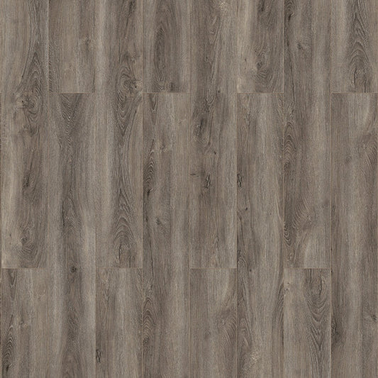 InHaus - Elandura Collection - Caraway