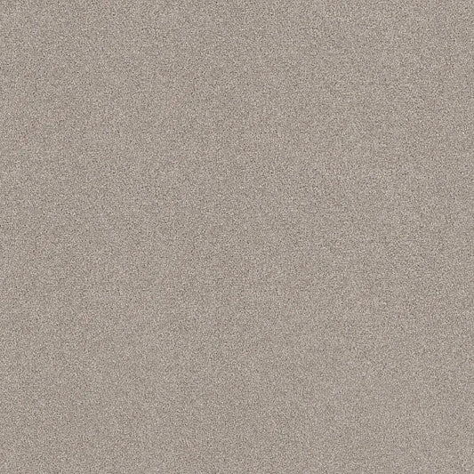 Shaw Floors - Carpet - COMFORTING II - Anonymous