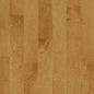 Solidgenius - Hard Maple Sahara - 5 In by Preverco