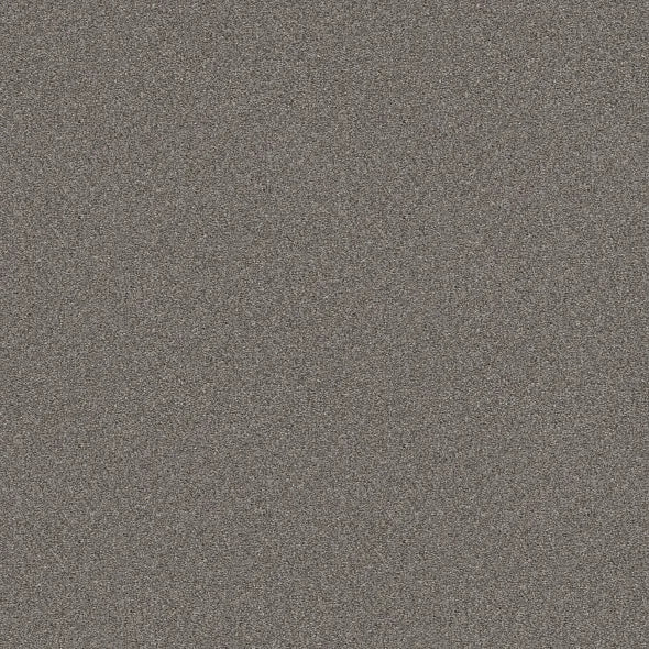 Shaw Floors - Carpet - Simply The Best  - Attainable - Arctic Shadow