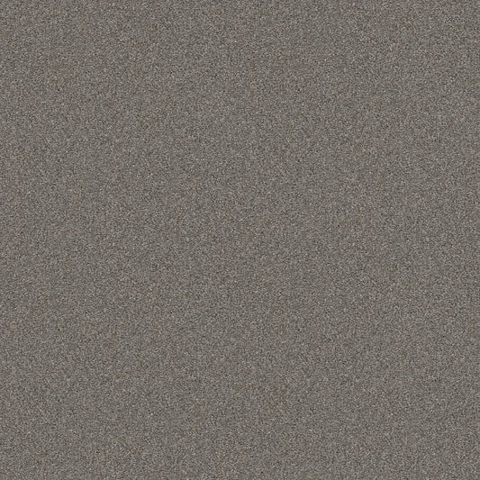 Shaw Floors - Carpet - Simply The Best  - Attainable - Arctic Shadow