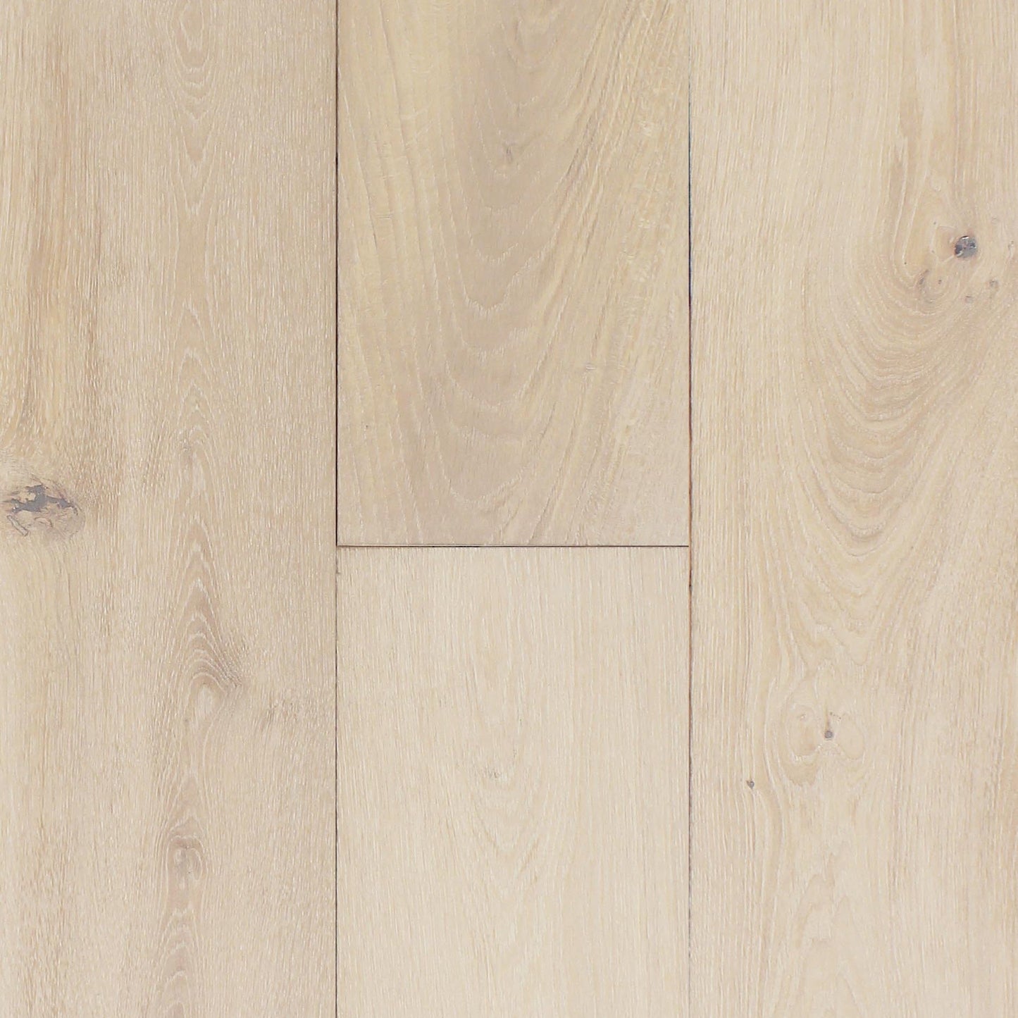 PRAVADA - Canvas Collection - Atelier